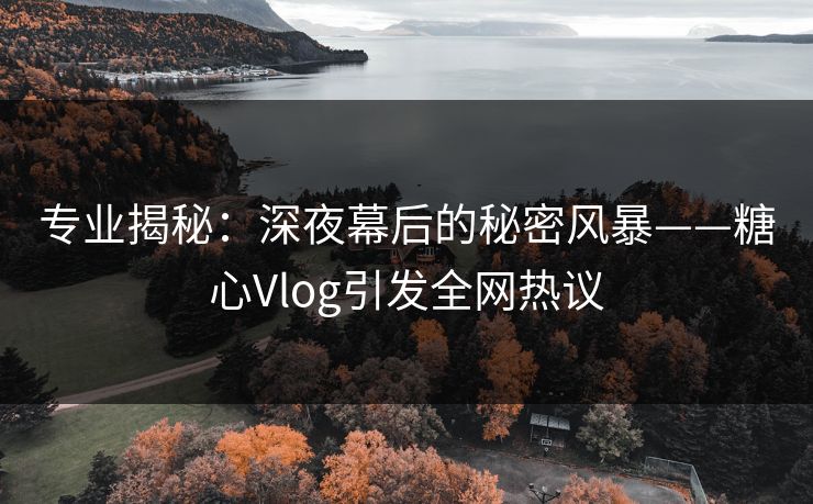 专业揭秘：深夜幕后的秘密风暴——糖心Vlog引发全网热议