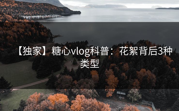 【独家】糖心vlog科普:花絮背后3种类型