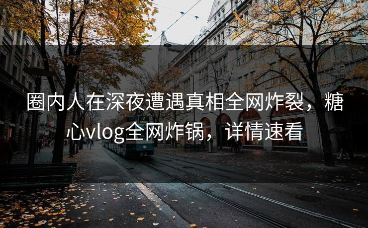 圈内人在深夜遭遇真相全网炸裂，糖心vlog全网炸锅，详情速看